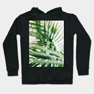 Plant, Leaf, Nature, Green, Landscape,Scandinavian art, Modern art, Wall art, Print, Minimalistic, Modern Hoodie